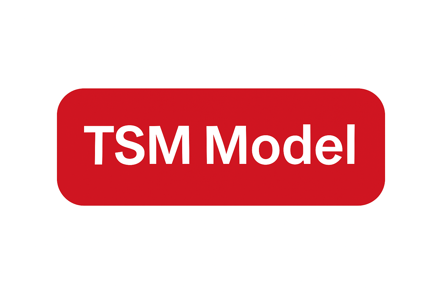 TSM Model