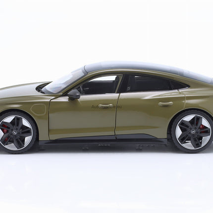 https://automodele.eu/environment/cache/images/productGfx_735771_0_0/11050G-Audi-RS-e-tron-GT-2022-Bburago-118.jpg