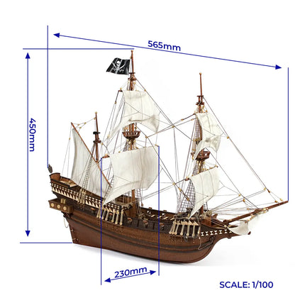 https://cdn.shopify.com/s/files/1/0622/6942/3871/products/12002-BUCCANEER.webp?v=1774353563