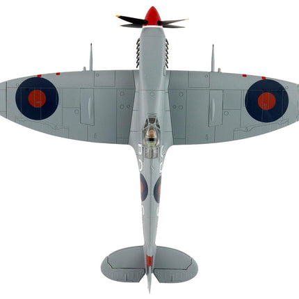 https://cdn.shopify.com/s/files/1/0504/9925/6496/files/HA8328-3__96141.jpg?v=1768496299