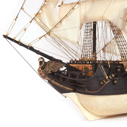 https://cdn.shopify.com/s/files/1/0622/6942/3871/files/MaquetadebarcopirataCisneNegrodetallesproaOcCre.webp?v=1761585644