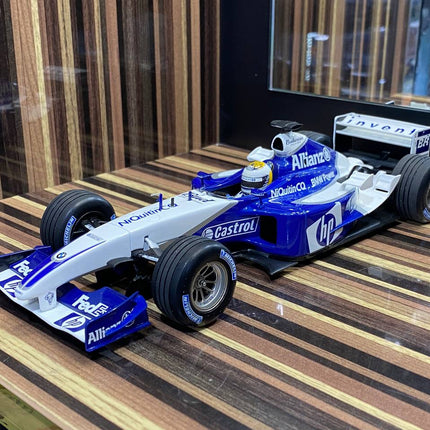 Minichamps BMW FW25 WilliamsF1 N. Rosberg 2004 1/18 Diecast Model Car - detailed collector display model