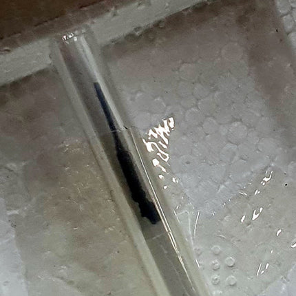 https://cdn.shopify.com/s/files/1/1524/5012/products/odvgrto1uli.jpg?v=1701459241