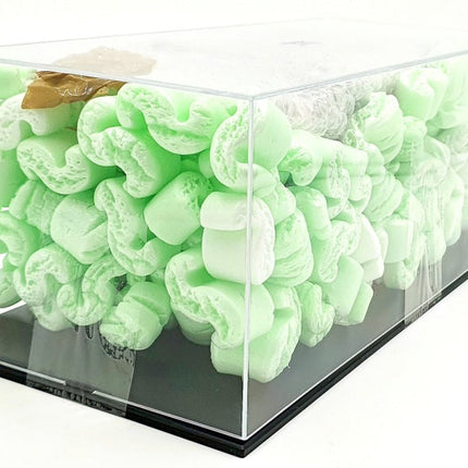 https://cdn.shopify.com/s/files/1/1524/5012/files/pxgzghdz0fo.jpg?v=1738055106